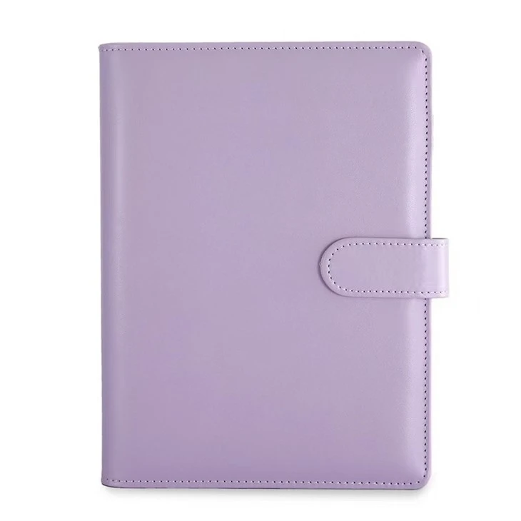 Budget Binders in Bulk