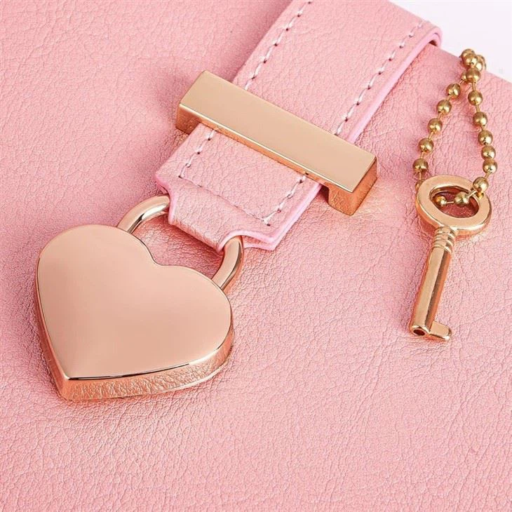 secret diary secret diary