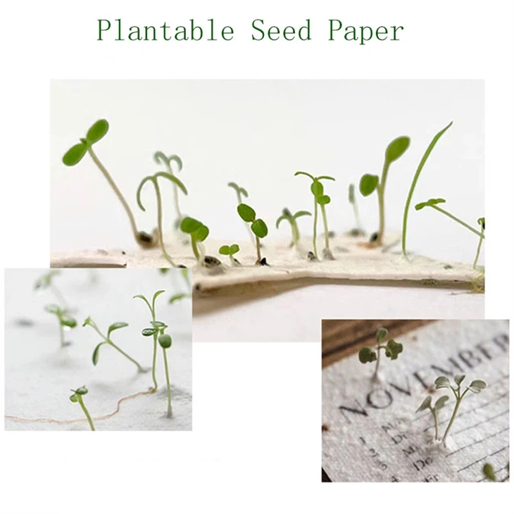 paper compostable Calendar paper compostable Calendar