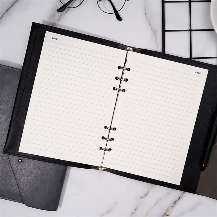 Leather Diary Notebook